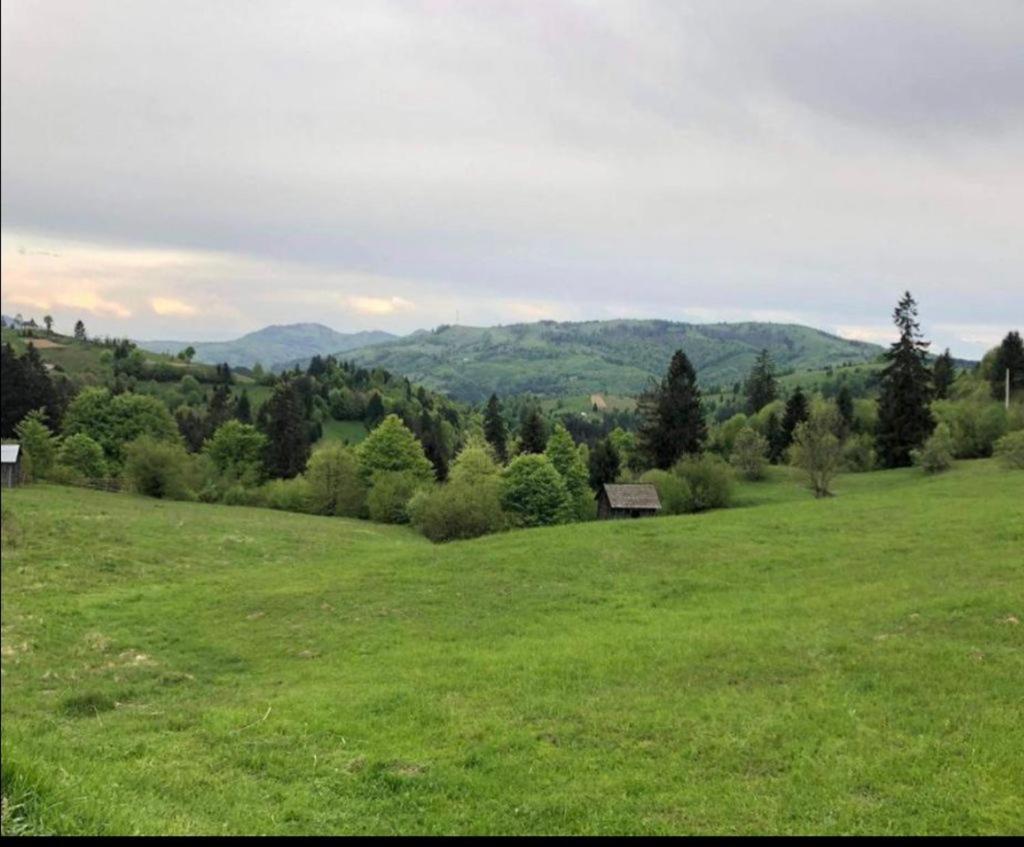 Pensiunea Trei Lalele Мойсей Экстерьер фото